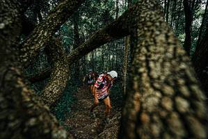 BIB: 
                            <button type="button" onclick="openModal(25676046)" class="btn btn-primary btn-sm float-right btn-popup" data-toggle="modal" data-target=".modal-high-quality">
                        <i class="fas fa-shopping-cart"></i> Add to Cart
                    </button>
                                            <button type="button" onclick="isThisMe(25676046, true)" class="btn btn-success btn-sm float-right btn-popup btn-isme hidden" data-toggle="tooltip" data-placement="bottom" title="นี่คือรูปของคุณใช่ไหม คลิกที่นี่เพื่อเอาเข้าอัลบั้ม">
                        <i class="fas fa-plus"></i> Add to album
                    </button>
                    <button type="button" onclick="isThisMe(25676046, false)" class="btn btn-warning btn-sm float-right btn-popup btn-isnotme hidden">
                        <i class="fas fa-ban"></i> Remove from album
                    </button>